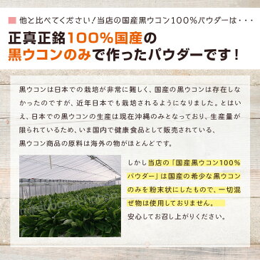 国産黒ウコン100％パウダー 30g　3袋セット 黒ショウガの粉【送料無料】ブラックジンジャー クラチャイダム 黒しょうが 黒生姜 さじ・レシピ付き