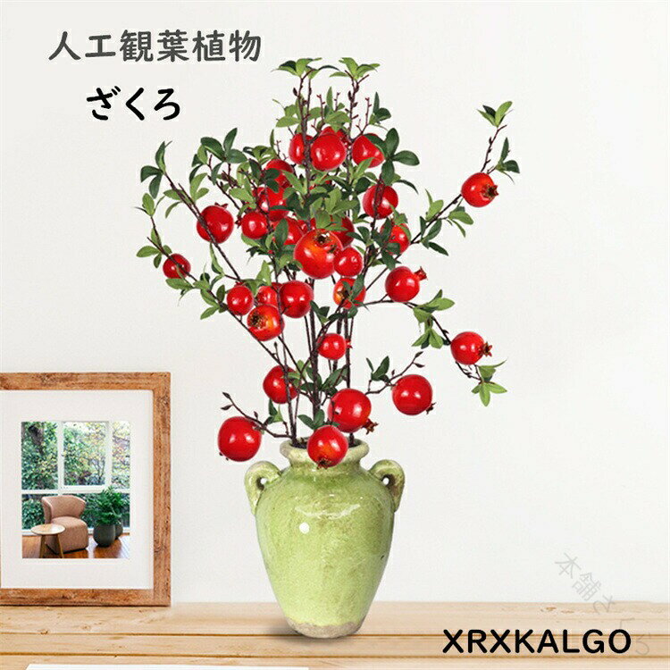 ☆塩原花園☆新品種☆ザクロ　超レア☆4.5号鉢☆4月末〜発送☆ ☆塩原花園☆新品種☆ザクロ 超レア☆4.5号鉢☆4月末〜発送 塩原花園
