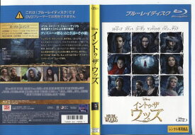 イントゥ・ザウッズ 中古ブルーレイ【中古】