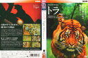 WILDLIFE SPECIAL トラ/Tiger BBC|中古DVD【中古】