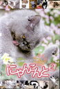 ●にゃんこんと2 キャット驚くオモシロねこ動画〜ホントはこんなこと言ってたりして〜 中古DVD