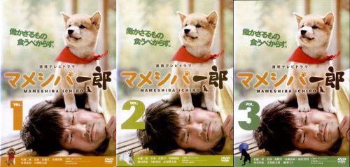 ■出演者☆佐藤二朗 角替和枝 美波 藤田弓子 高橋直純 志賀廣太郎 高橋洋　 ■備考☆監督：芦塚慎太郎　総時間：246分　 ■商品説明☆2009年にTVシリーズ放送および劇場公開され、全国にマメシバ・ブームを巻き起こしたあの「幼獣マメシバ」の待望の続編！！家から半径3キロ以内で生きてきた男、芝二郎。憂えた母が仕掛けた冒険で、二郎は地球の裏側アルゼンチンに到達。あれから2年…。二郎は再び引きこもっていた。日々の相棒はマメシバ一郎とパソコン。労働なんてナンセンス！そんな二郎のもとに、母から次なるミッションが下った！！　中古DVDレンタル落 掲載されている商品画像はイメージですので、実物のジャケットやケース画像とは異なる場合があります。 複数商品をお買い上げで同梱発送の場合でも メール便での発送がご利用いただけます！全巻もOK！ （全国一律送料200円 ゆうメール便） 全巻セットでもモチロン、メール便OK！ ぜひぜひ選んで見てくださいね！ ※新品ケースを同時購入の場合は宅配便での発送となります。 　　 ＜新品ケースをご希望の方はこちらから＞