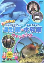 わくわくっ！ 海獣館＆水族館 ウォッチング 中古DVD【中古】♯