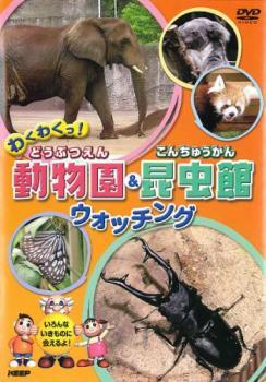 わくわくっ！ 動物園＆昆虫館 ウォッチング 中古DVD【中古】♯