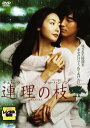 連理の枝 中古DVD【中古】