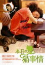 ▼本日の猫事情▽中古DVD【中古】