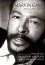 マーヴィン・ゲイの真実 中古DVD【中古】