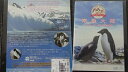 「どうぶつ奇想天外!」 南極大陸 アデリーペンギン子育て物語 DVD【中古】