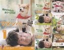 マメシバ一郎 連続テレビドラマ1〜3巻・from幼獣マメシバ・映画版・メイキングオブ 全6巻セット 主演 佐藤二朗 中古DVD