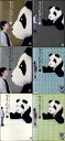 ●やさぐれぱんだ (金、銀、白、黒、竹、笹)全巻6枚セット DVD【中古】