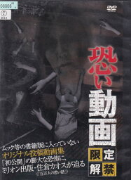 ☆恐い動画 　限定解禁　中古DVD