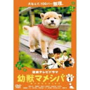 連続テレビドラマ版 幼獣マメシバ 1 中古DVD【中古】