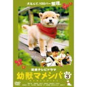 連続テレビドラマ 幼獣マメシバ 3 中古DVD【中古】