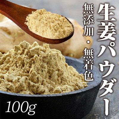 【今だけワンコイン】ジンジャーパウダー100g　ショウガオール 蒸し生姜　しょうがパウダー 粉末100g　ぽかぽかサポートにジンジャーパワー生姜！【送料無料】