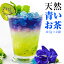 Ĥ 1.0g20 Хե饤ԡ ȩ ϡ֥ƥ SNS Ѥ ơ butterfly pea tea ŷϡ֡ڥݥȡۡפ򸫤