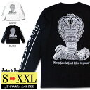 t Y uh  Xg[g  傫TCY | S~3XL S2F uh  Z Jbg\[ gbvX 100 A[eBXg tgvg IV  lC  20 30 40 50 l Yt@bV JACKNDABOX Ru eye zozo town