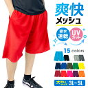 爽快 快適 ドライ ハーフパンツ バスパン 水着や体操着 運動会 通勤 通学 スポーツ 部屋着