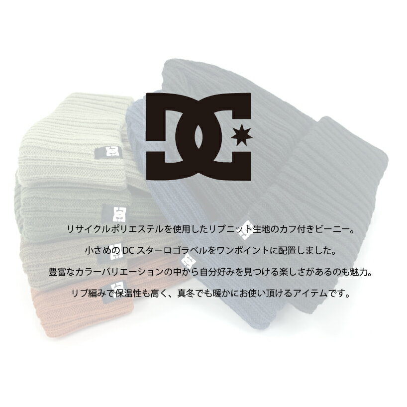 DC �˥å�˹ �ǥ�������DC Shoes FISH N DESTROY 2 ��� ��ǥ����� �� �� ����� ���ե˥å�˹ �ޤ�ʤ� �� �� �� �� �ե꡼������ ���ȥ꡼�� ���������� ����ץ� ̵�� ���襤�� ���ä�����