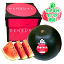 【出荷中】送料無料 でんすけすいか 優品 5L (10kg以上) 北海道 スイカ 共撰 デンスケスイカ でんすけ 西瓜 スイカ 糖度 12度前後 ご自宅用