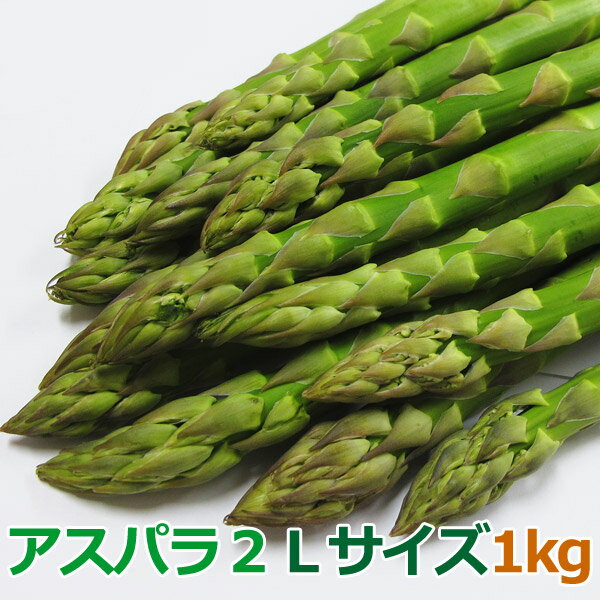 【出荷中】 アスパラガス 1kg 極太 送料無料 優品 グリーンアスパラ 1kg アスパラガス 2Lサイズ アスパラガス 北海道 アスパラ 北海道産