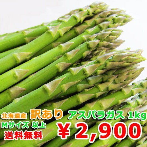 【数量限定100円OFFクーポンあり】【予約商品】 アスパラ 訳あり 送料無料 北海道産 グリーンアスパラ 1kg Mサイズ以上 送料無料 アスパラガス アスパラガス 北海道 アスパラ 不揃い わけあり 北海道産 春野菜 自宅用 ご挨拶 手土産 こどもの日 父の日 家庭用 料理