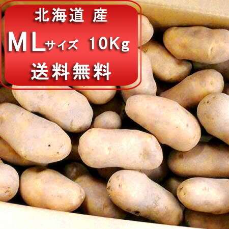 メークイン 10kg 送料無料 MLサイズ じゃがいも 北海道 メークイン 北海道産 じゃがいも メークイン MLサイズ 10kg ジャガイモ 北海道のサムネイル