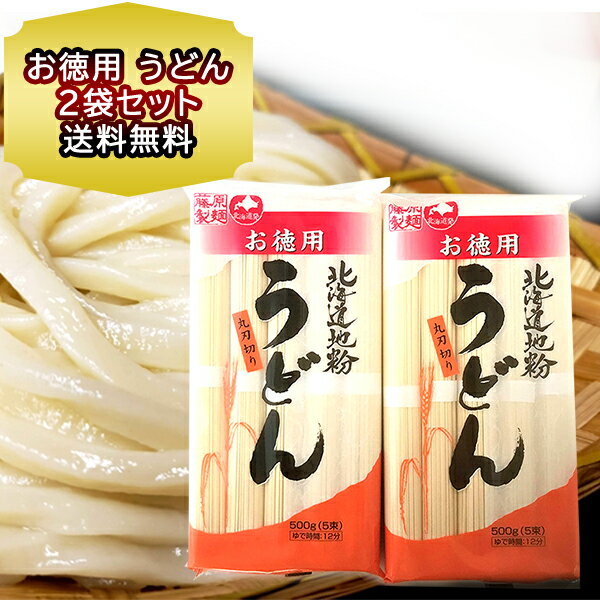 うどん 乾麺 お徳用 乾麺 北海道産地粉を使用した乾麺 北海道 うどん500 g(5束)×2袋 送料無料 メール便 自宅用 大容量 乾燥麺 手土産 お土産 北海道 小麦 使用