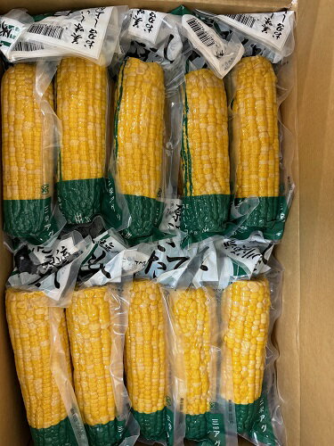 送料無料 北海道 レトルト とうもろこし 30本 バイカラー (白と黄色)北海道産 天塩川源流 とうもろこし 真空パック入 白と黄色 とうきび 加熱殺菌済み 30本セット 北海道 とうきび コーン 天塩川源流 玉蜀黍 もぎたて スイートコーン レトルト 簡単 調理