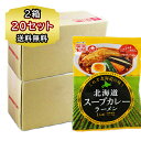 送料無料 スープカレー ラーメン 20袋 (2箱) 北海道 ラーメン インスタントラーメン 北海道 スープカレーラーメン 藤原製麺