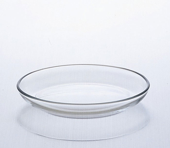 ���;˻ҥ��ǥꥢ���饹 �ץ졼�󾮻��¡�14.8cm ���饹