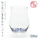アデリアグラス石塚硝子 利き猪口 nikuQ 味わいグラス 容量：220mlガラス