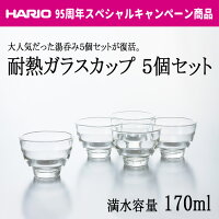 HARIO(ハリオ)耐熱ガラスカップ５個セット満水容量170ml