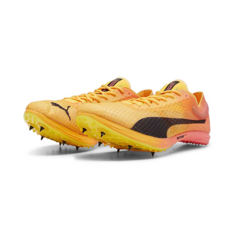 ס ԡ ǥ ˥ȥ ꡼+4 PUMA evoSPEED Distance Nitro Elite4 ˥å 桦ĹΥ Φ她ѥ 2024psp(38000001)