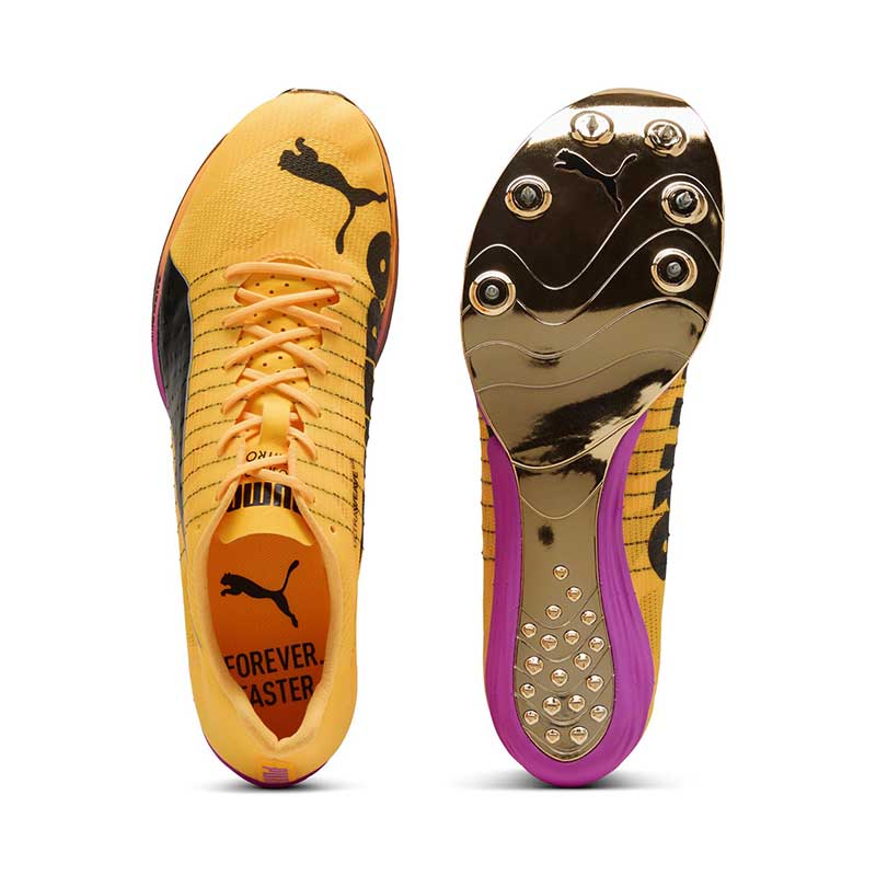 �ס��� ���������ԡ��� �ե���� �˥ȥ� ���꡼�� PUMA evoSPEED Forte NITRO Elite 313304-01 ��˥��å��� û��Υ�� Φ�她�ѥ��� 2026psp (31330401)