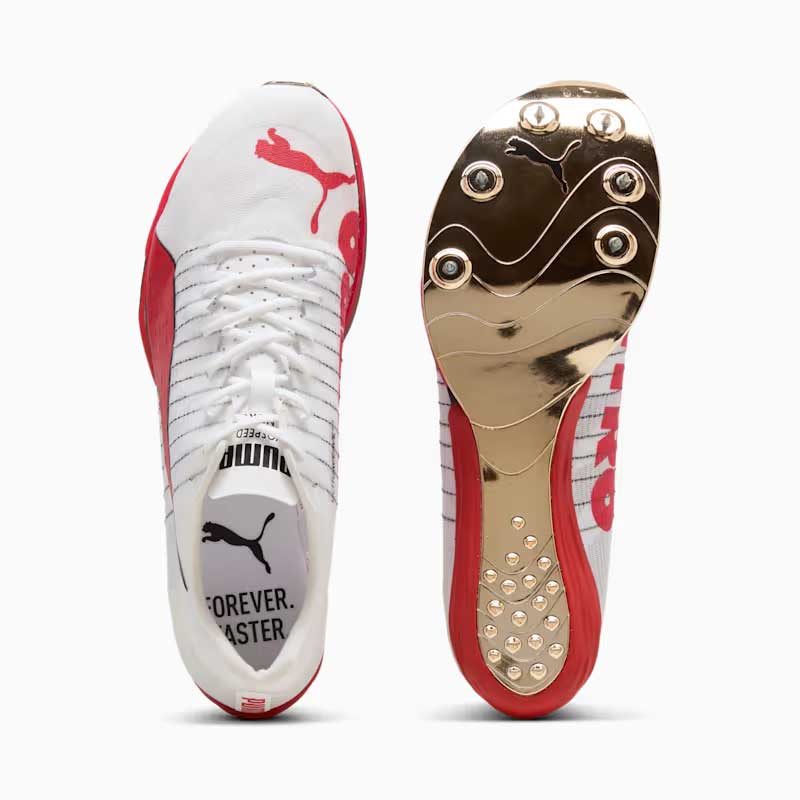 �ס��� ���������ԡ��� �ե���� �˥ȥ� ���꡼�� PUMA evoSPEED Forte NITRO Elite 313590-01 ��˥��å��� û��Υ�� Φ�她�ѥ��� 2026psp (31359001)