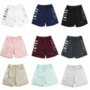 IN THE PAINT インザペイント PANEL SHORTS バスパン バスケットボールウェア 2023FW(itp23420) 2401bwtk