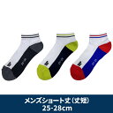 GOSEN S[Z F22MS3P 25cm-28cm 3g݃\bNX V[g\bNX 3P\bNX C Y(jp) 2022SS NEW SOCKS(f22ms3p) tgsap