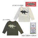 50％OFF　P.FIELD　ピーフィールド　恐竜　トリケラトプス　プリント　長袖　Tシャツ(100cm・110cm・120cm）