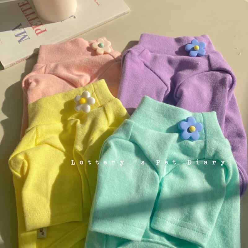 無地 レイヤリング シャツ 犬 服 ペット 猫 テディ ビション 綿 カラー ポメラニアン