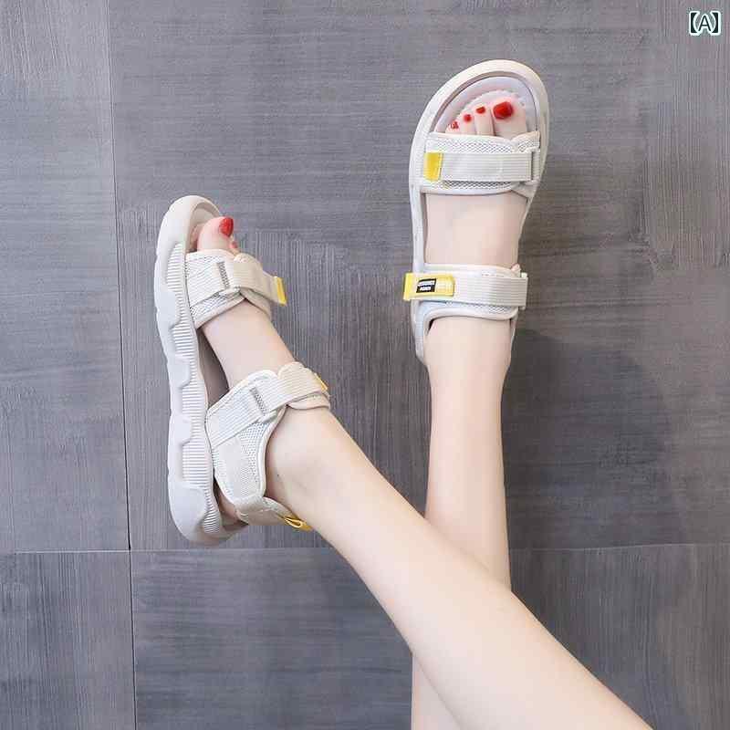  ץ   ϥɥ  Ʊ   2025ǯ ݡ  ȥɥ   ­  ե  ӡ 塼