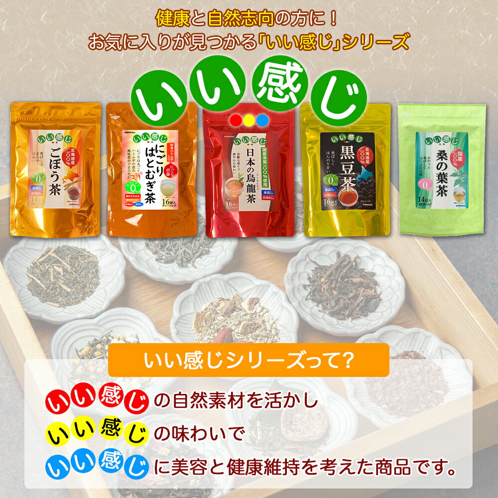 【1注文で1個まで】【お徳用】いい感じ 桑の葉茶 22袋 【クリックポスト送料無料】【HOPEFULL】 当店オリジナル商品 手軽に美肌 健康維持習慣 食物繊維 血糖値を下げる 栄養たっぷり まろやか風味 モラノリン ノンカフェイン 便通改善