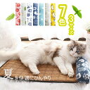 ペットベッド ペット マット 猫用 犬用 クッション 夏用 ひんやり 枕付き ソファー 接触冷感 涼しい 暑さ対策 猫犬兼用 スポンジクッション 快適 通気性 滑り止め おしゃれ 可愛い いちご 猫柄 ダック 犬猫 納涼ペット 小型犬用 中型犬 いぬ ネコ 洗える