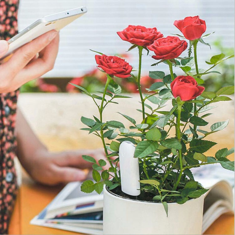 スマホ連動土壌テスター iPhone/Android対応 Appで植物の状態をチェック Flower Care 土壌測定 技術認証マーク取得 透明ケース付き HOP-HHCC20G