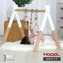 【公式ストア】HOPPL ホップル ベビージムセット ベビージム おしゃれ 木製 プレイジム ベビー 新生児 赤ちゃん おもちゃ ハンギングトイ 誕生日 プレゼント 出産祝い お祝い 北欧 インテリア シンプル 送料無料