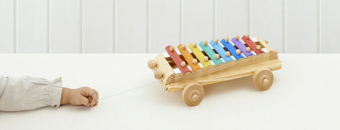 プレゼント エドインター シロフォンカー 木のおもちゃ 知育玩具 楽器 木製玩具 出...