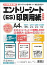 日本法令 エントリーシート(ES)印刷用紙セット 労務11-80