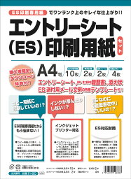 日本法令 エントリーシート（ES）印刷用紙セット　労務11-80