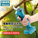 剪定ばさみ 電動 充電式 コードレス 剪定バサミ 剪定鋏 バッテリー付き 切断直径30mm 軽量 女性 庭木/枝切り/果樹用 園芸用 剪定用具 ガーデニング 植...