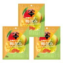 デリトプラス 完熟マンゴーの梅包み 40g×3袋セット 半生ドライ 完熟果実 梅干し 種なし マンゴー ドライフルーツ