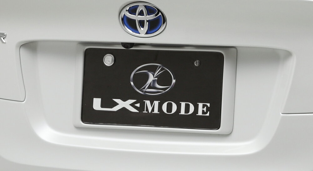 LXモード RAV4 50系 LX カラード リアライセンスフレーム 塗装済 LX-MODE